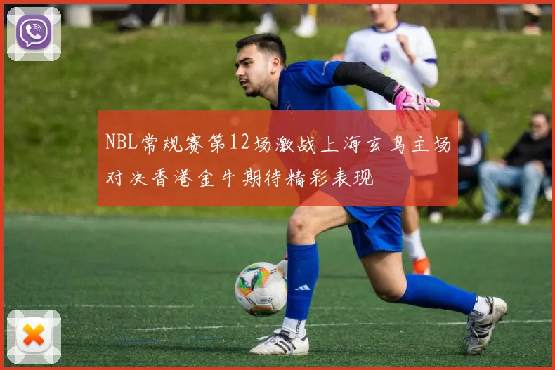 NBL常规赛第12场激战上海玄鸟主场对决香港金牛期待精彩表现