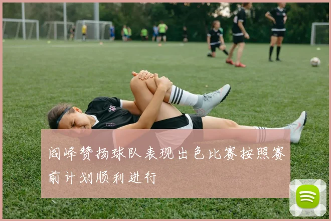 阎峰赞扬球队表现出色比赛按照赛前计划顺利进行
